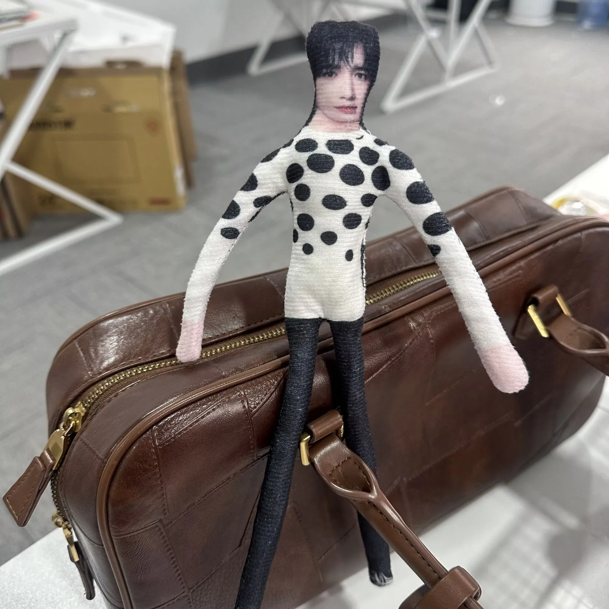 New product: Song Yaxuan Crispy Grandpa Mouse Dry Doll with Clear Iron Wire Skeleton and Limb Separation Abstract Doll view 4