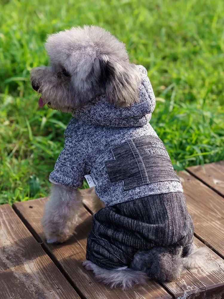 

Four-Legged Fleece Hoodie for Dogs, Clothes for Teddy, Schnauzer, Pomeranian, Autumn and Winter, New, 2023