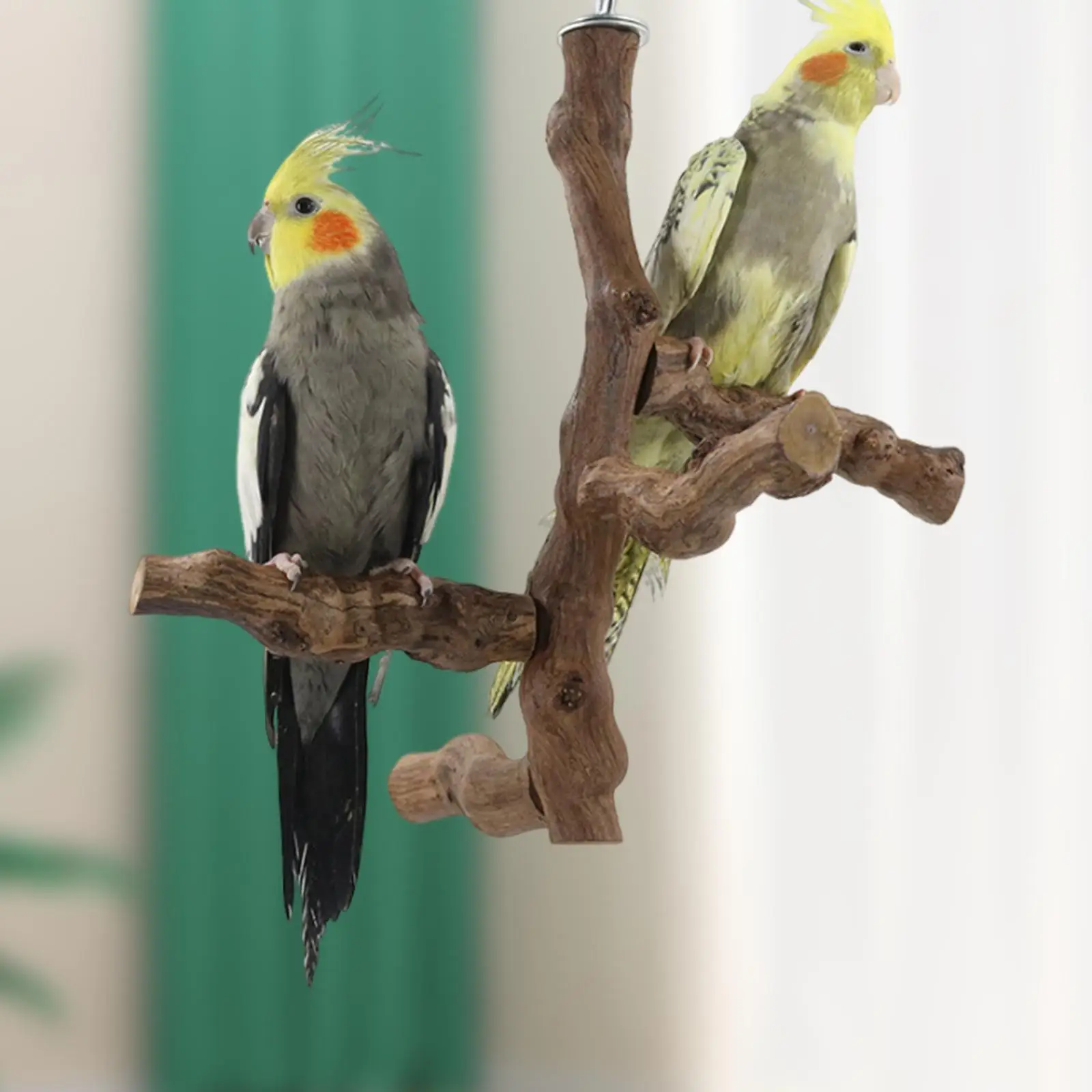 Bird Perch Hanging Activity Center Chewing Parrot Play Stand Multi Branch Perch for Love Birds Parrots Finches Cockatiels Macaws