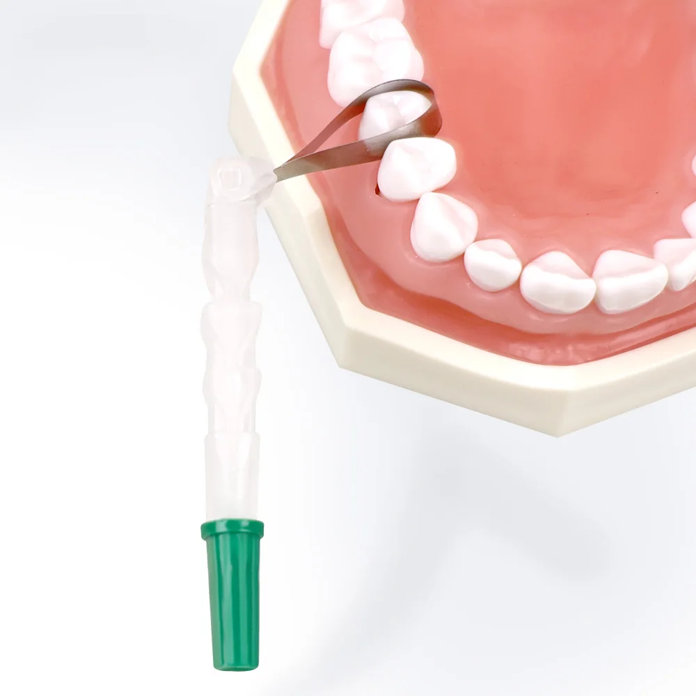 System matrycy dentystycznej Sekcyjny profilowany uchwyt opasek matrycowych 180 ° Regulowane materiały koronowe dentystyczne