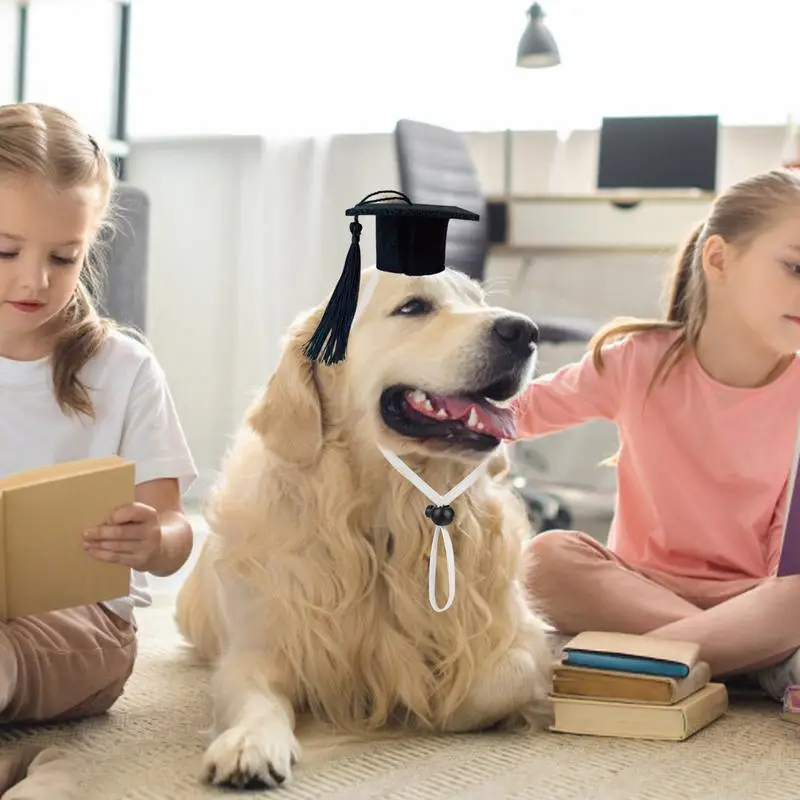 Black Dog Graduation Hats Pet Graduation Caps with Adjustable Straps Small Pets Graduation Caps Small Animal Bachelor Hat