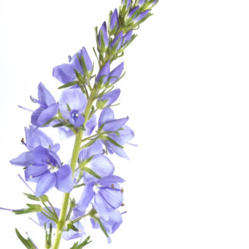 

4 шт. 128 мм 1/10 Monster Stunt Truck шина 12 мм и 14 мм шестигранная для Trxs MAXX ARRMA Granite KRATON Outcast Tamiya Losi Redcat