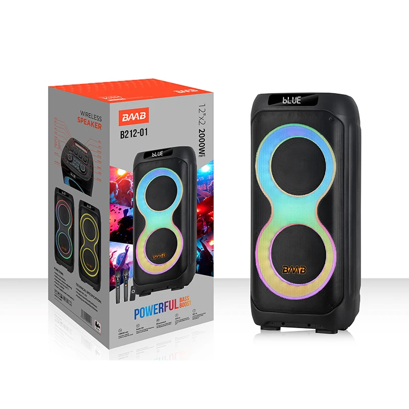 B212-01 Dual 12 Inch 60W Active High Bass Karaoke Woofer USB Charging Woofer Mic Use Woofer Battery