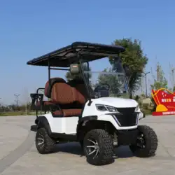 Electric Golf Vehicle Manufacturers ISO Approved Golf Buggy 30% Climbing Slope 4 Seats Karts Car Electric Golf Cart