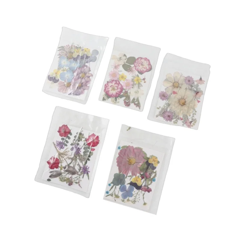 

5 пакетов прессованных цветов различных видов: яркие, с богатой текстурой, многофункциональные, разноцветные сухоцветы для DIY-поделок, тип 2 (для форм и закладок)