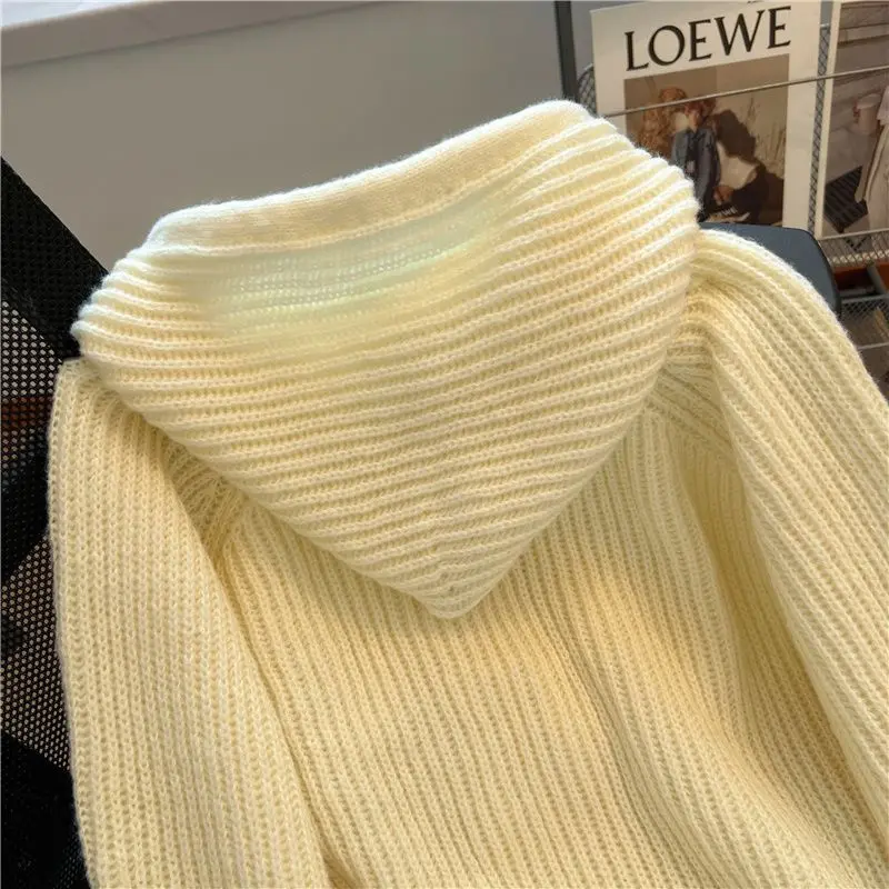 Cardigan en tricot avec fermeture éclair à capuche pour dames, manteau pull paresseux, haut de style design, mode automne et hiver, nouveau, 2024