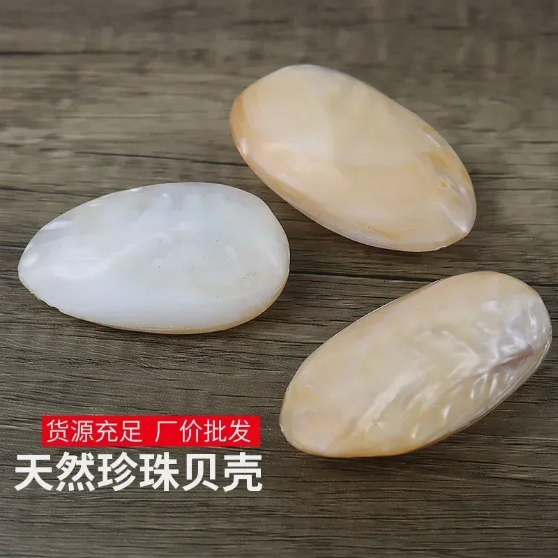 Polished Pearl Oyster Freshwater Shell Natural Conch