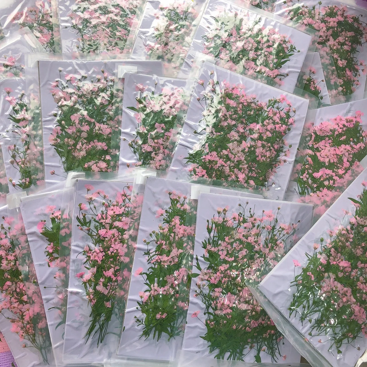 12 pezzi 5-6 cm testa di fiore - Dried Flower Bookmark recensione e prezzo
