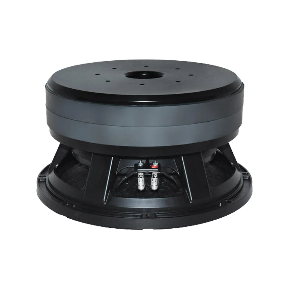 6pcs High-Power 1100W Dual Magnet 12-Inch Woofer 280mm*2 Professional Audio Speaker with 5-Inch Voice Coil Metal Shell