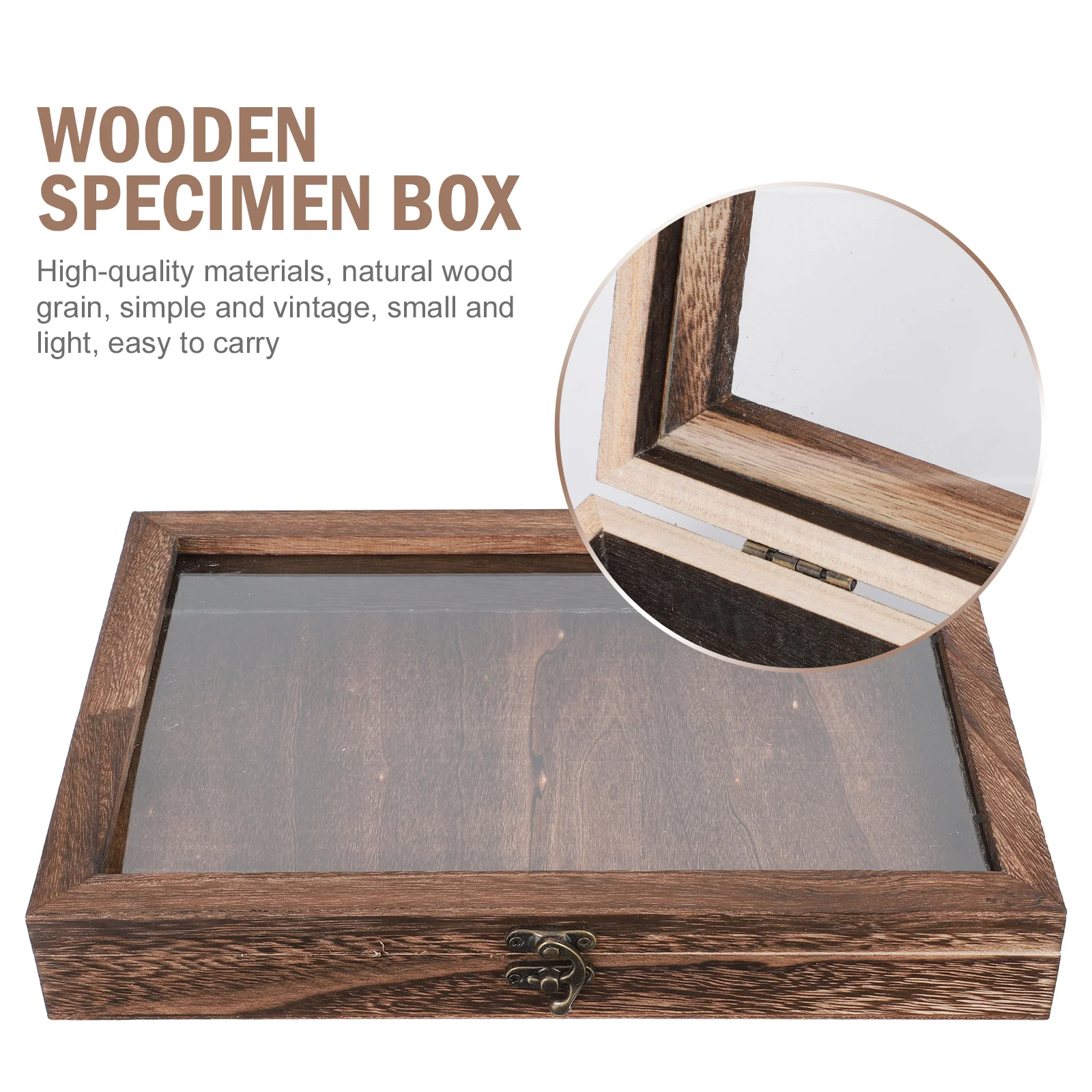 Wooden Specimen Box for Displaying Insects High Quality Vintage Style Storage Box for Butterfly Specimens