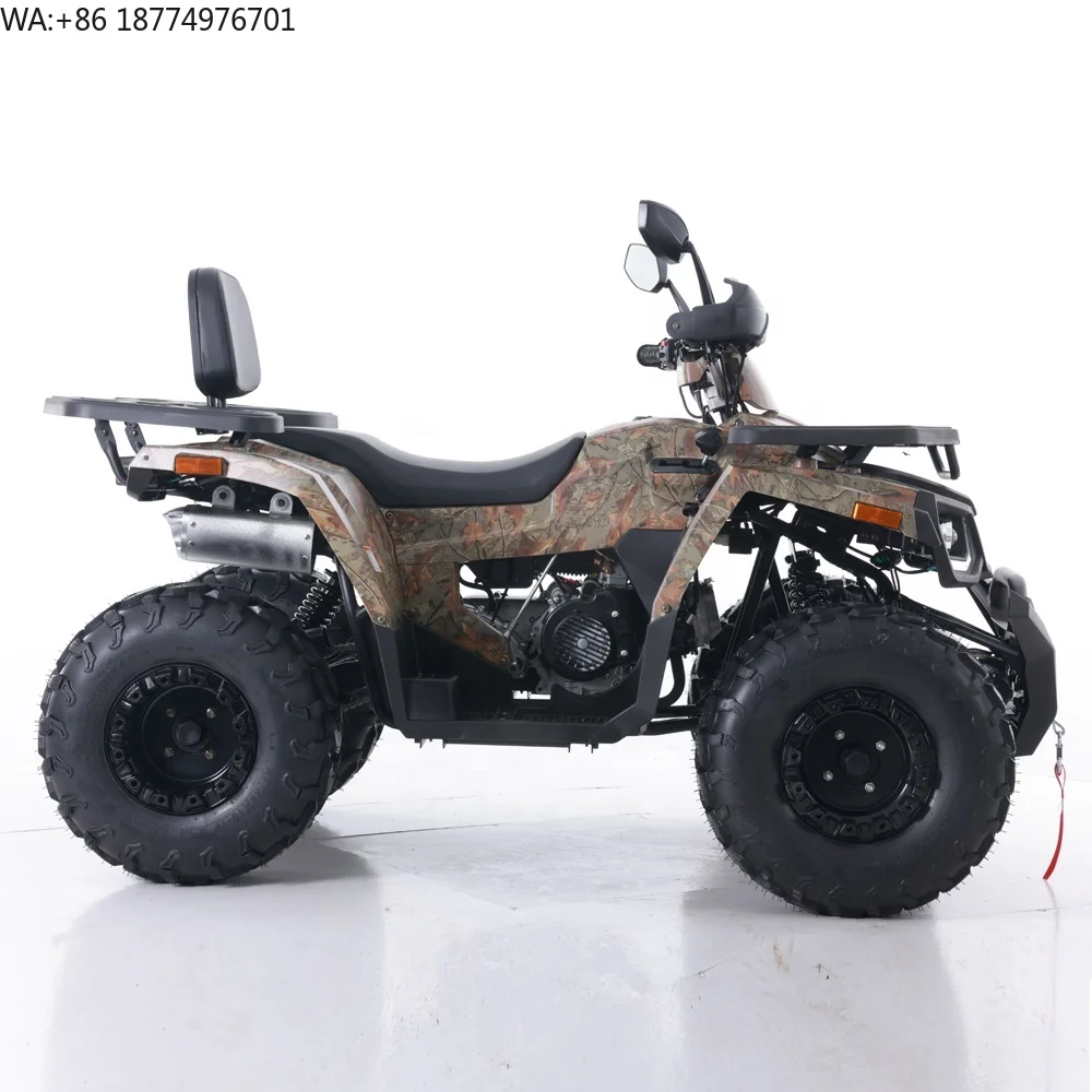 Tao Motor 2024, Nueva Cuatrimoto Automática con Transmisión de Cadena, Cuatrimoto China Económica para Granja, ATV de 200cc