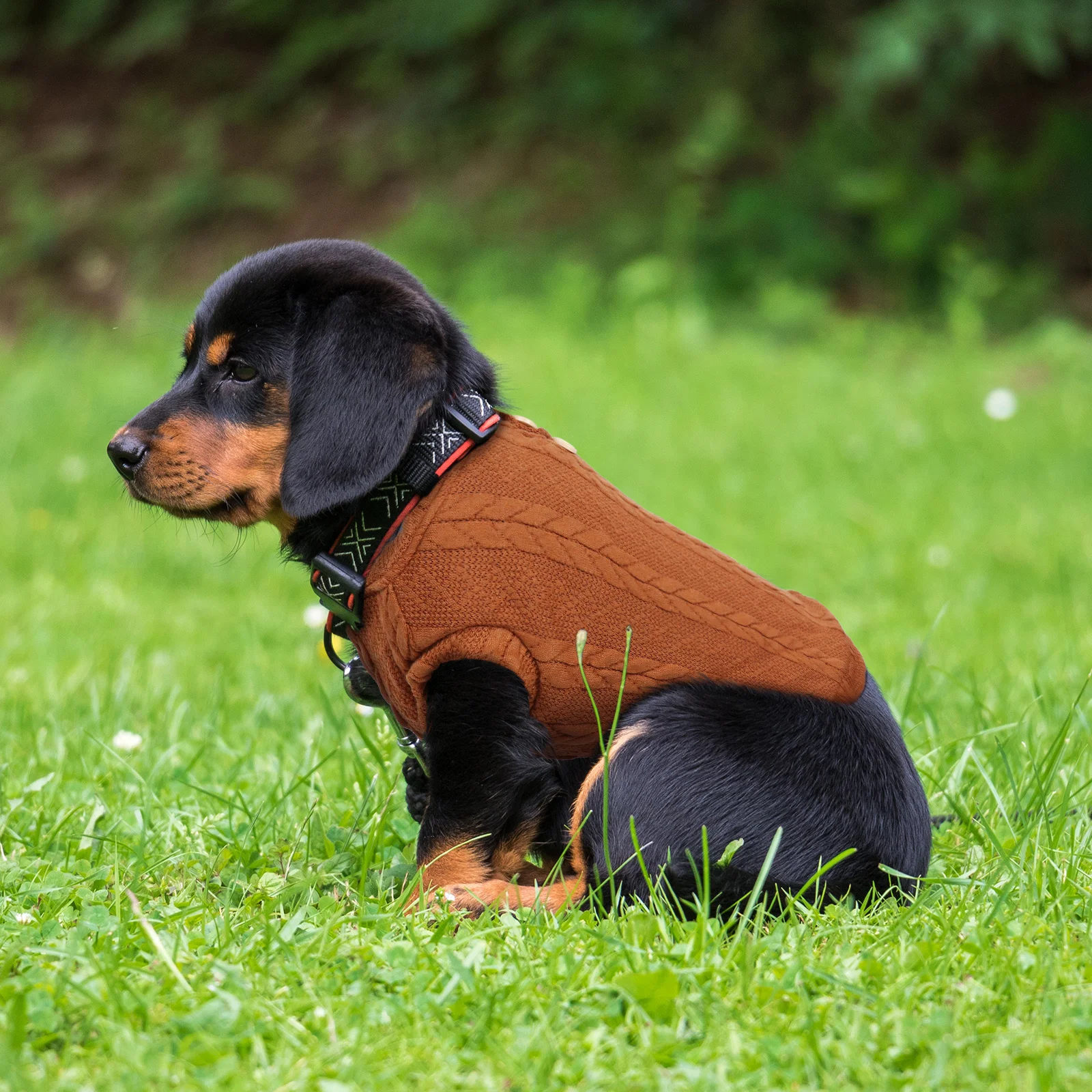 

Warm Dog Sweater Pet Clothes Winter Knitted Costume High-Quality Comfortable Exquisite Craftsmanship Suitable for Festivals