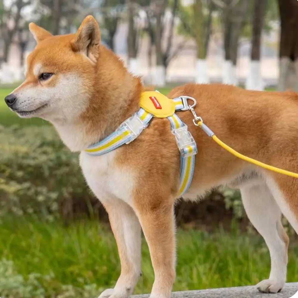 

Sturdy Adjustable Dog Harness and Leash Set Multi-color Breathable Dog Chest Strap with Traction Rope Cat Harness All Seasons