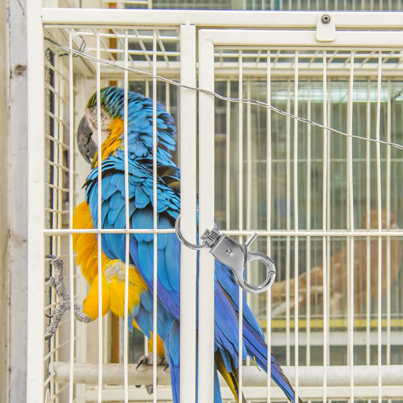 5Pcs Bird Cage Lock Buckles Swivel Spring Snap Hooks Easy to Use for Various Pet Cages Rust-Resistant Bird Lobster Clasp