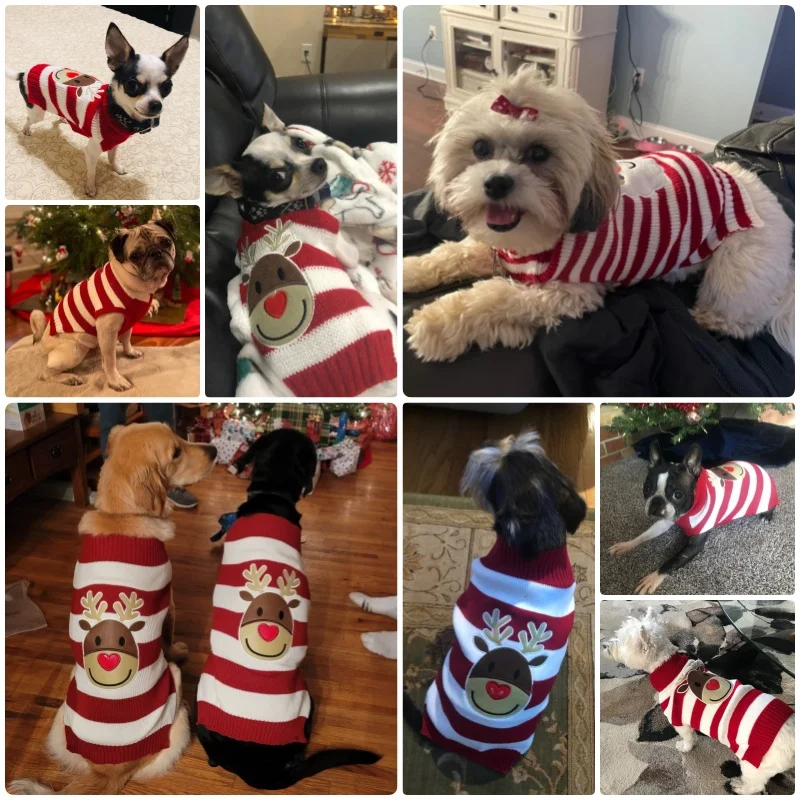 Christmas Dog Sweaters for Small Medium Dogs Winter Dog Clothes Fashion Print Puppy Knitted Pullover Cat Sweater Pet Turtleneck