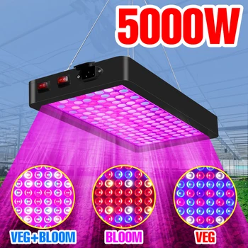 LED Grow Light Full Spectrum Phyto Lamp LED Hydroponic Plant Growth Bulb Greenhouse Plant Growth Lighting Indoor Seed Flowers
