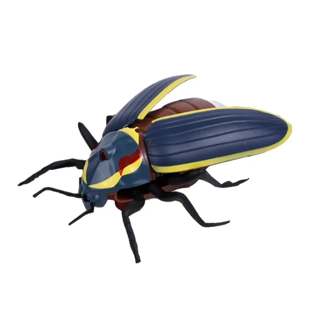 Jouet éducatif animal modèle d'insecte scientifique et nature pour enfants