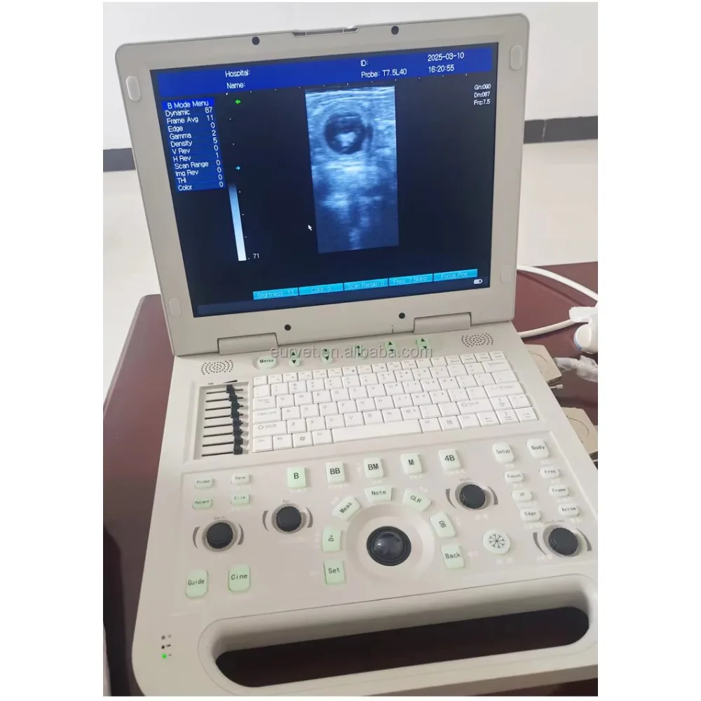 EUR VET High Cost-Performance Premium Digital Portable Ultrasound Device, Laptop Ultrasound Device, Veterinary Equipment for