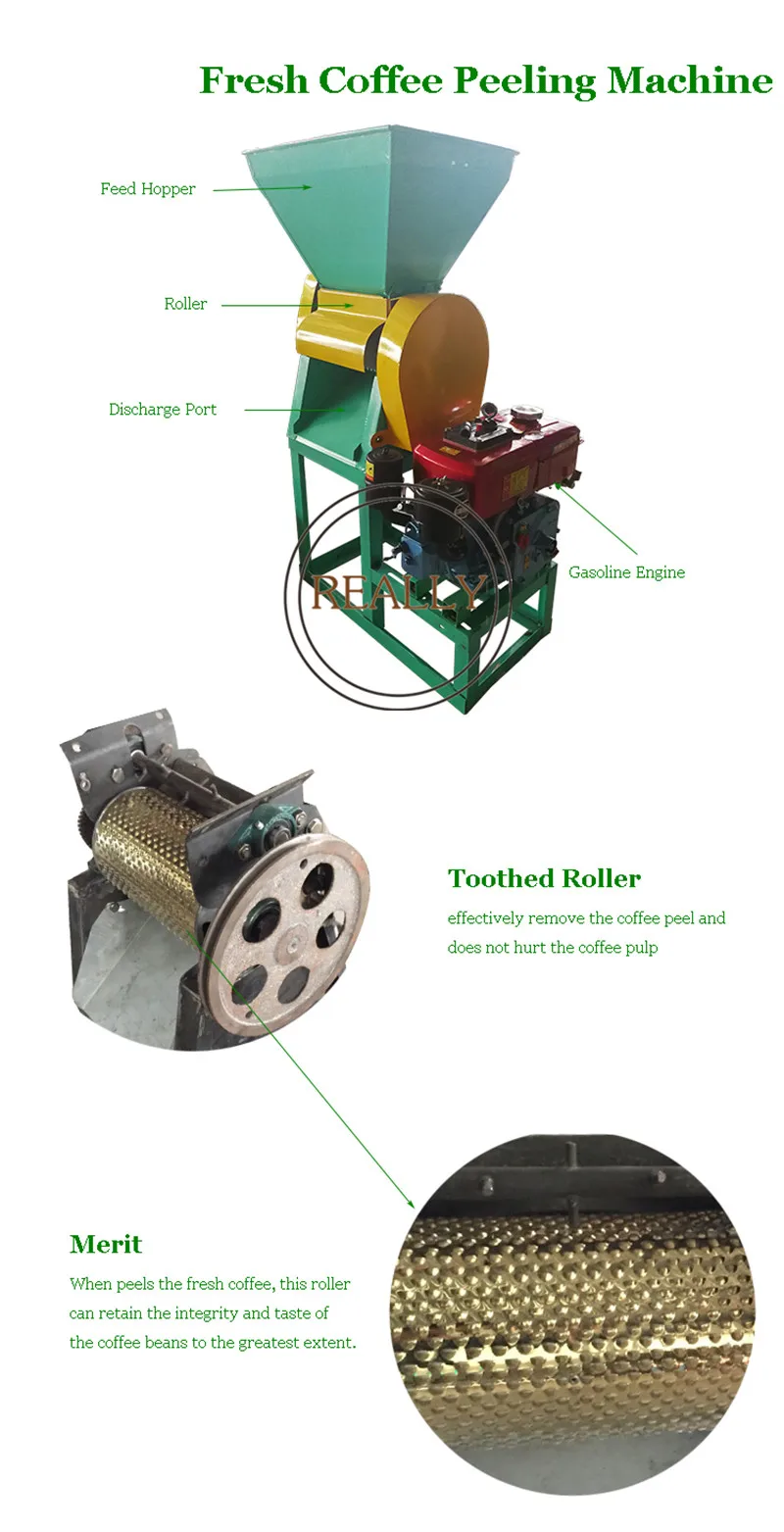 Máquina para eliminar la piel de granos de café frescos, desgranadora de cacao, pelado, limpieza combinada con lavadora, 700-900 KG/H