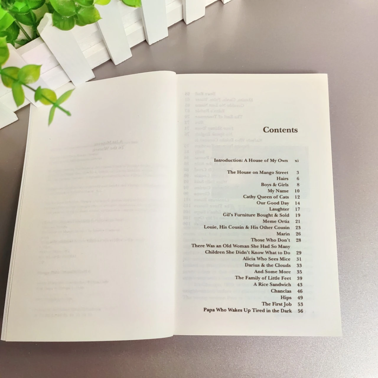 Prenota La Casa sulla strada di mango. Editorial VINTAGE 2007 anno d'autore Sandra Cisneros