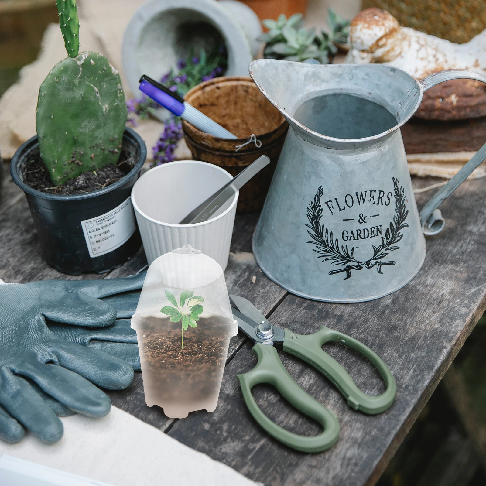 

10 Sets Seedling Plastic Pots Small Square Plant Succulent Breeding Cups Outdoor Germination Garden Yard Durable Eco Friendly