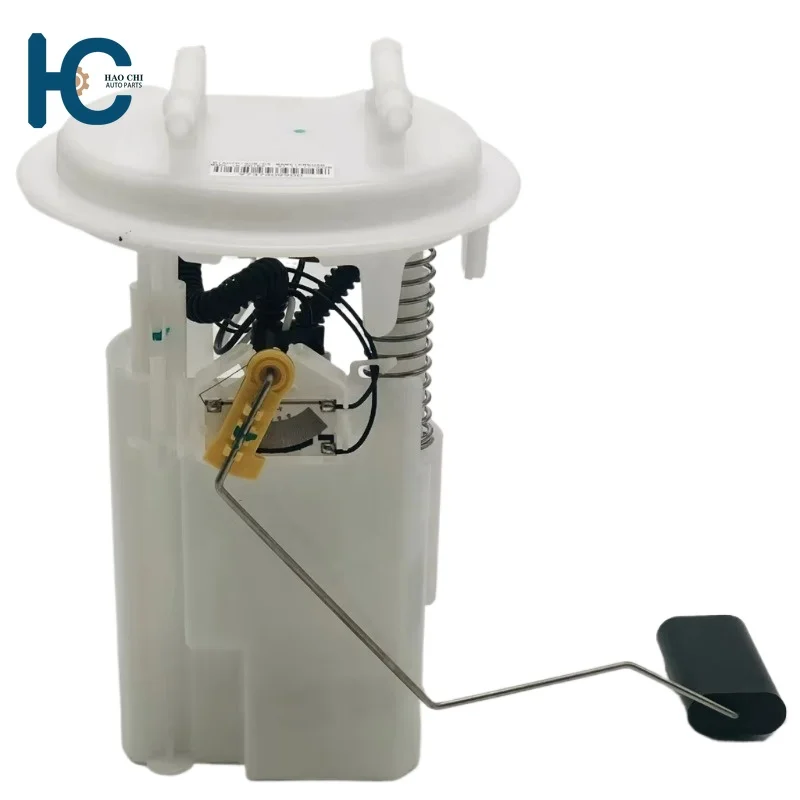 

9737409900 Fuel Pump Assembly for Peugeot 508 Citron C5
