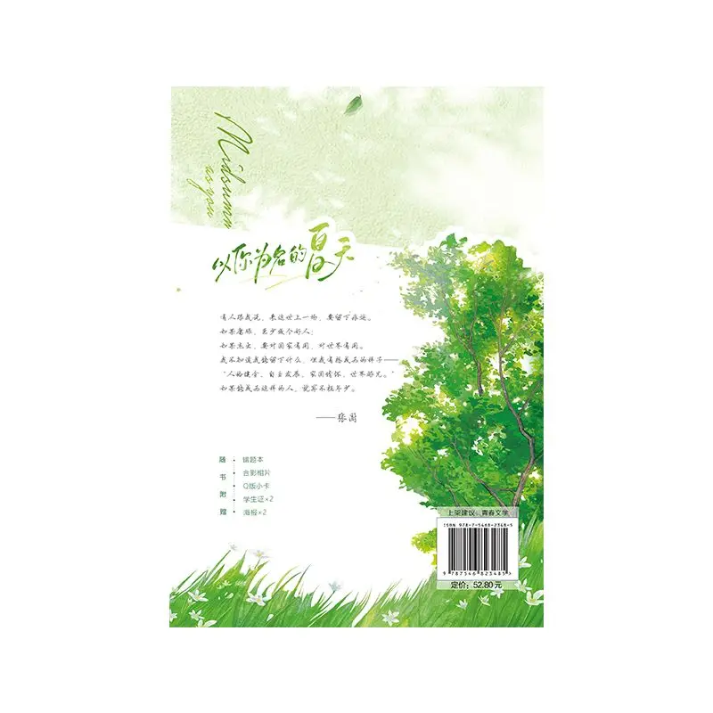 Pure Youth Campus Fiction Book The Summer Named After You Sunshine Boy & Quiet Girl Novel Set