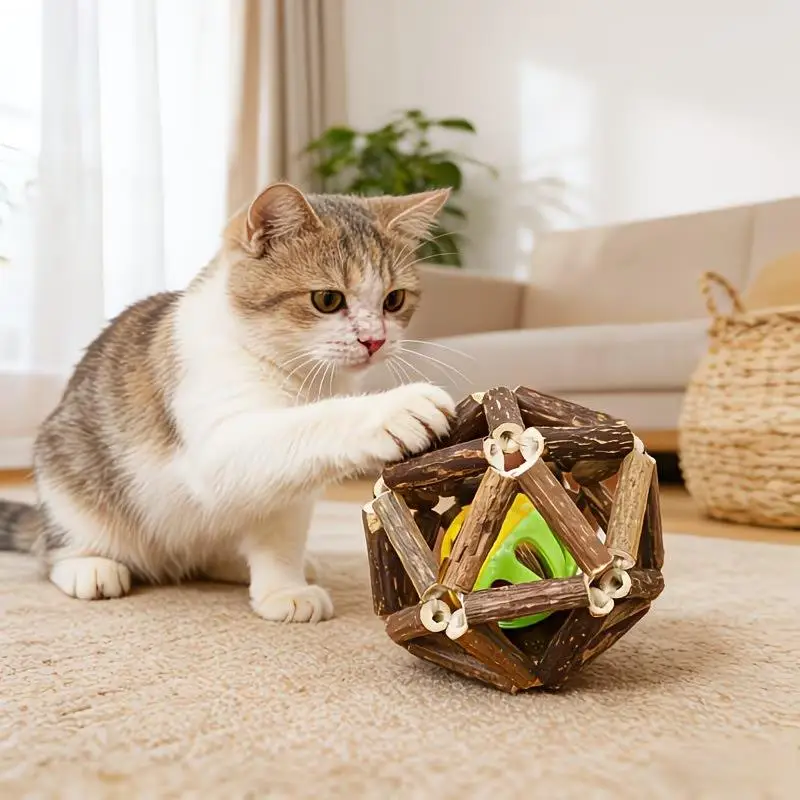 1 Stück gewebtes Katzenspielzeug – rundes Design fördert das Spielen und die Zahnhygiene, Glockenball