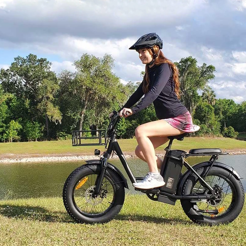 

Freego Electric Dirt Bike 20 x 4 Fat Tire Electric Bicycle 48V 25AH Removable Battery with Front and Rear Cargo Rack 2 Seater