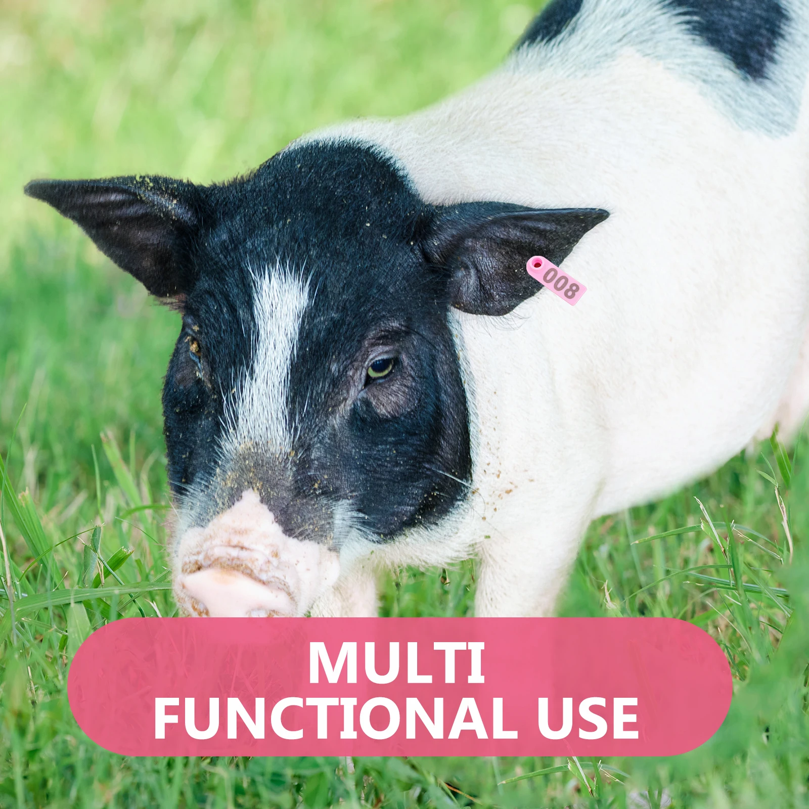 100 قطعة علامات أذن الأغنام البقرة تحديد الماشية المرقمة للماشية الماعز الخنازير مزرعة استخدام أداة وضع علامات الحيوانات المتينة واضحة