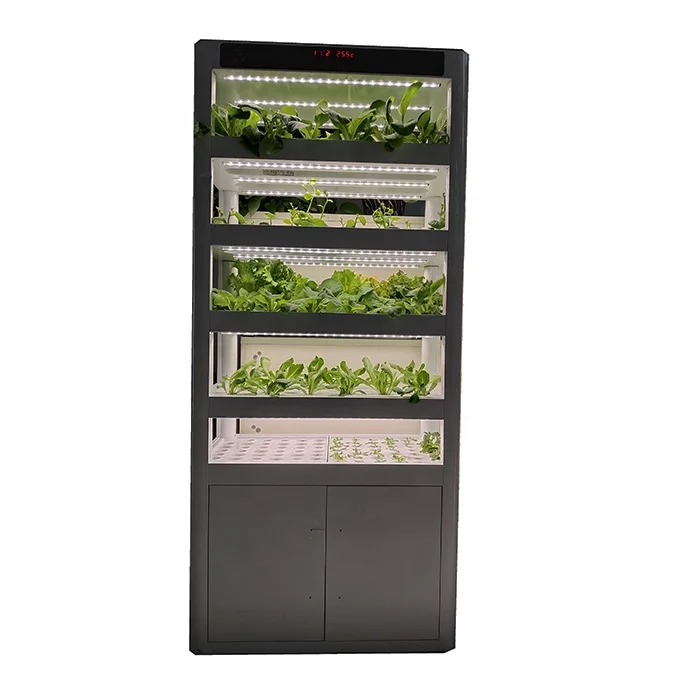 Automatic Hydroponics Indoor Soilless Smart Garden Growing Kit for Fresh Flowers Vegetables Systems