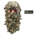 Reed Forest