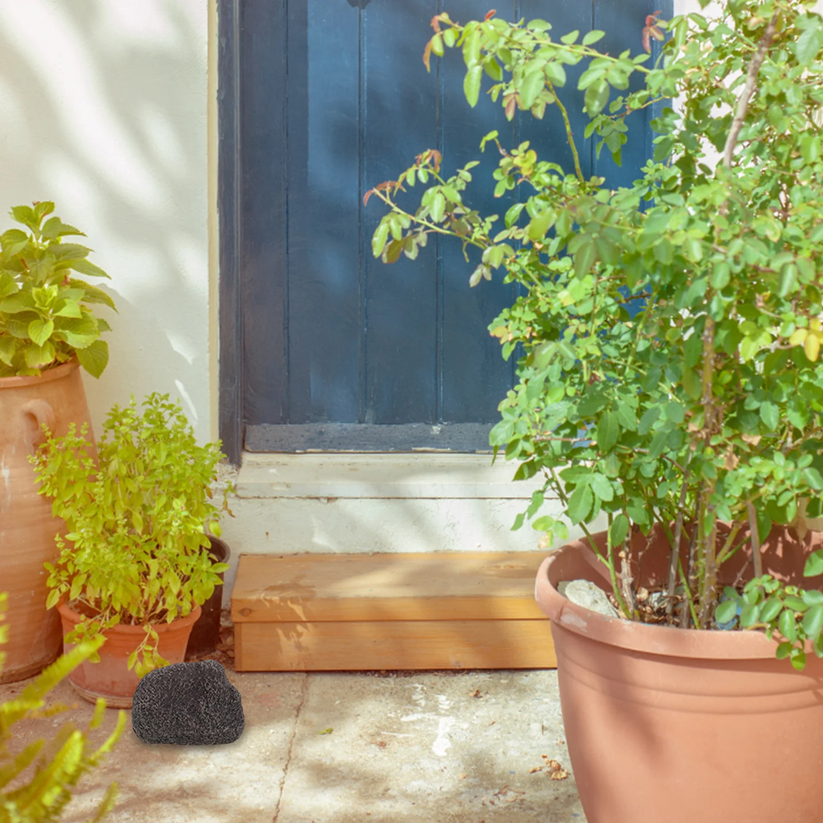 Holder Box Fake Rock Stone Design Resin Outdoor Garden Key Hider Waterproof Entry Storage