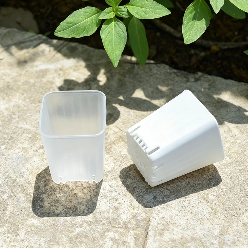 50-100Pcs 4cm Mini Thicken White/Transparent Square Flower Pot For Seedling Cultivation Breathable Succulent Plant Pot Seed Tray view 6
