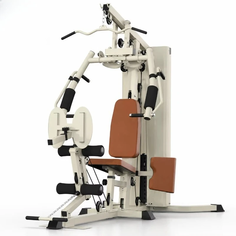 Smith Multipurpose Gym Home Single Station Steel Trainer Heavy Leg Lift and Butterfly Arm Exercises