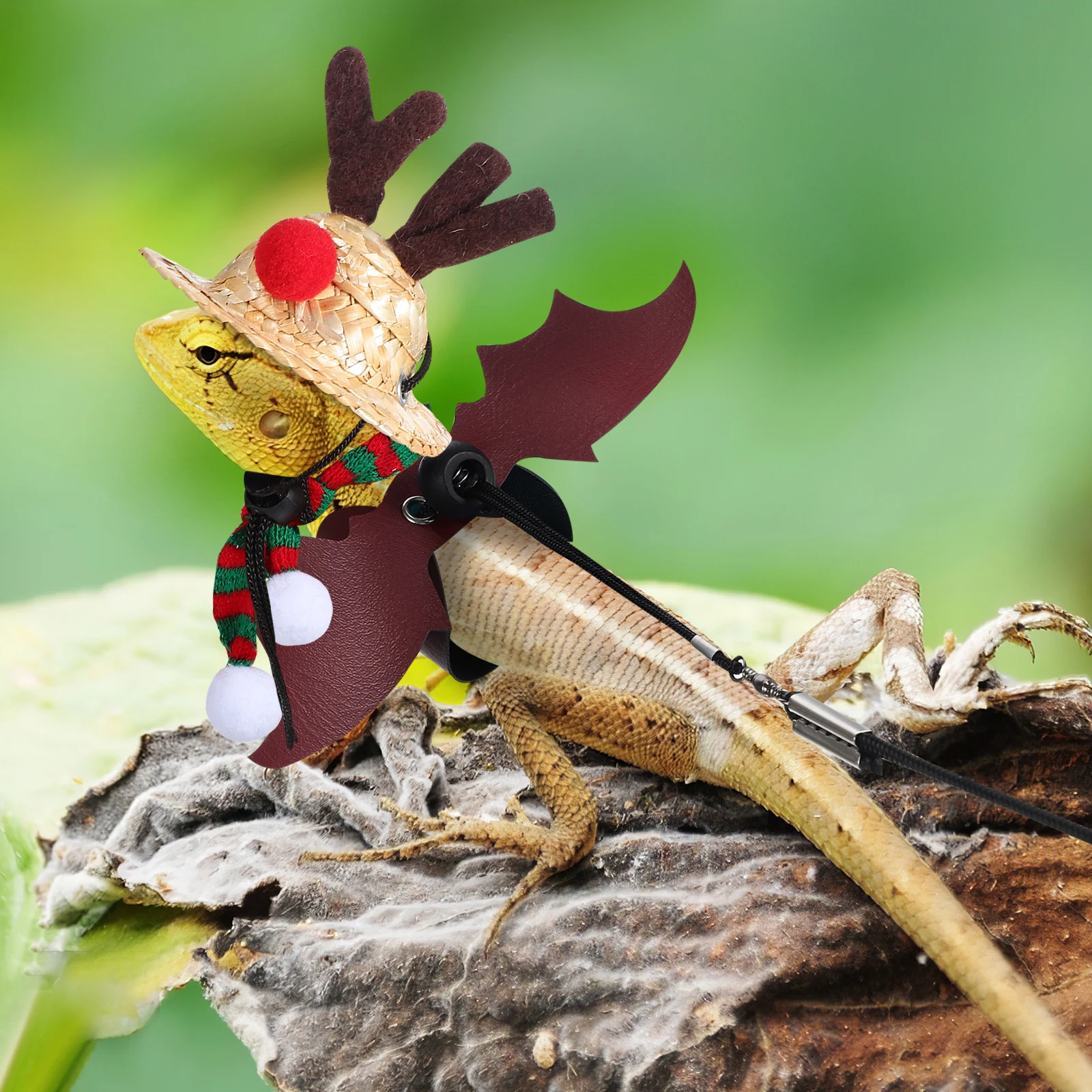 

1Set Christmas Lizard Costume Hat Scarf Leash Outdoor Small Pet Harness Bearded Dragon Gecko Pet Christmas Hat