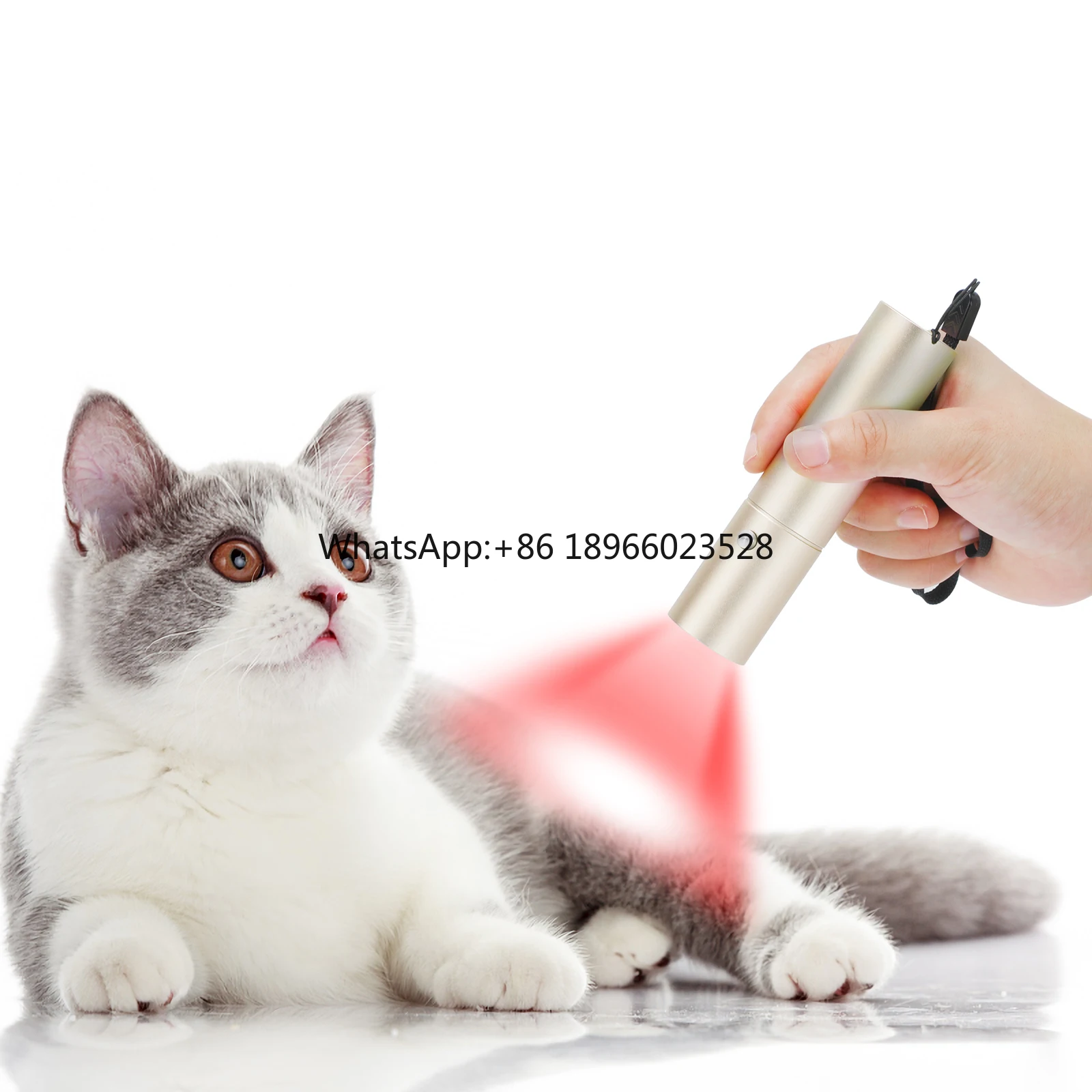 Customized OEM 5 Wavelengths Red Light Torch Near Infrared Red Light Therapy Pen infrared light vet therapy for horses