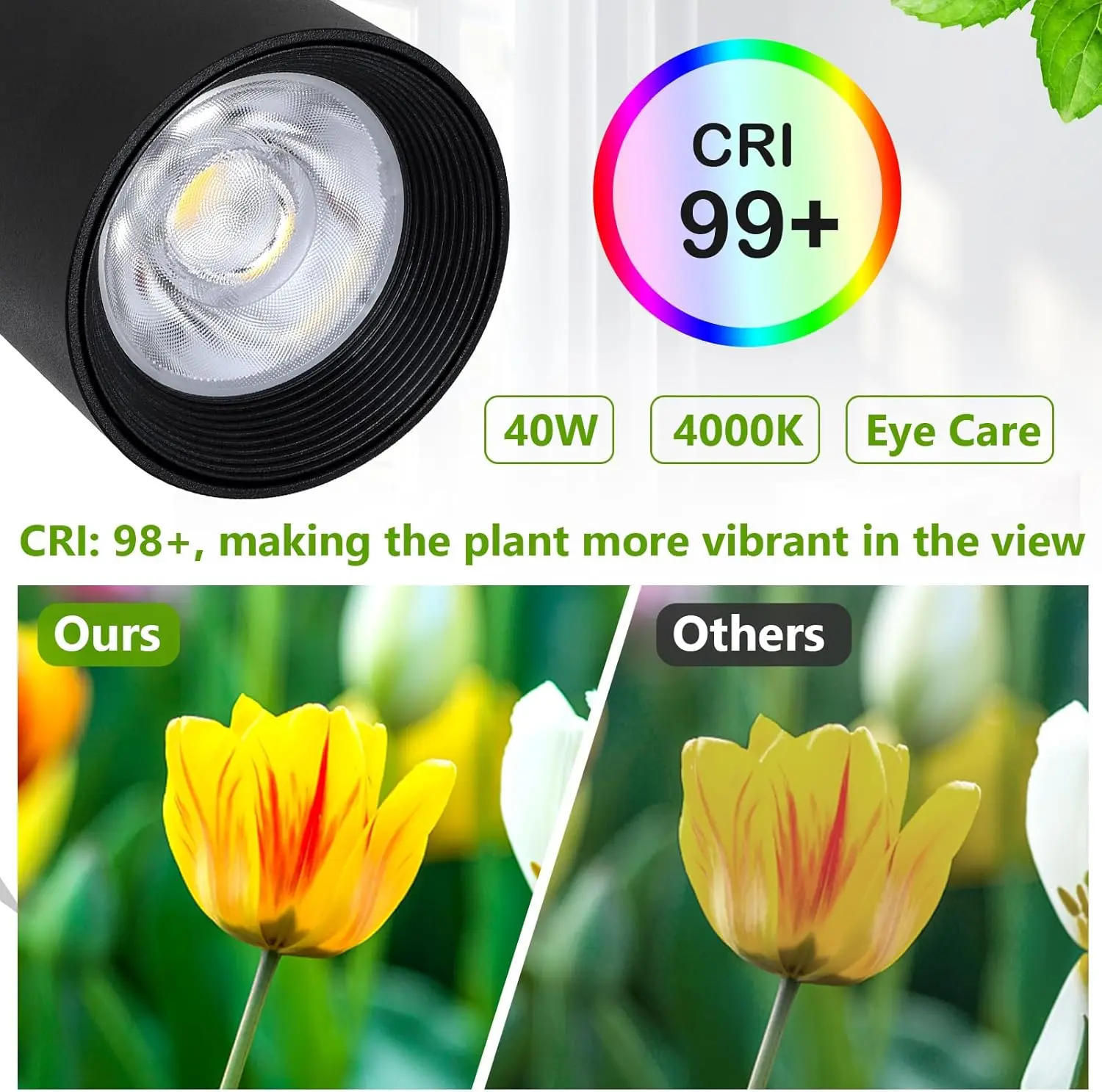 ضوء نباتي LED كامل الطيف مع حامل ثلاثي القوائم قابل للتعديل رقاقة COB للنباتات الداخلية مفتاح تشغيل/إيقاف لمصباح النمو