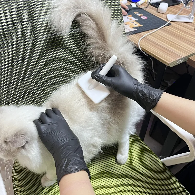 Thumbnail 4 - #28 New Cleaning Gloves Arrivals