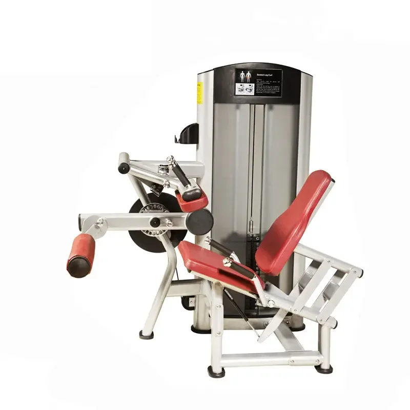 

Seated Abdominal Crunch & Back Extension Machine Core/Back Training Equipment 2025