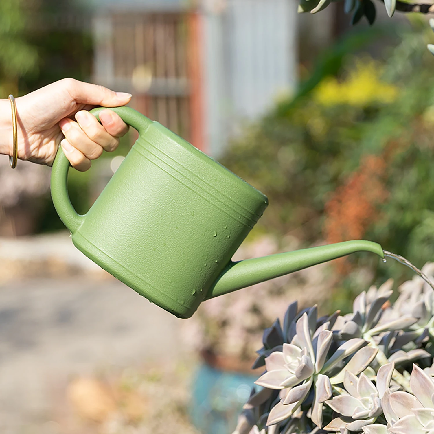 #18 New Watering Cans Arrivals