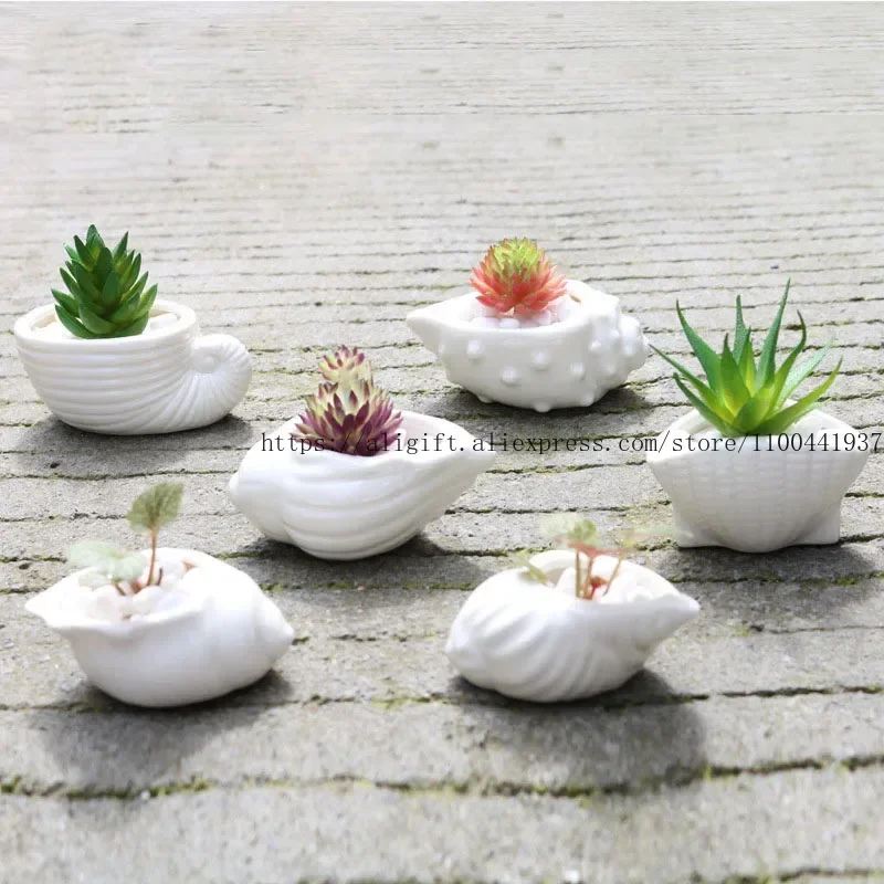 6pcs/set Succulent Plant Flower Pot Thumb Pot White Shell Conch Ocean Flower Pot Ceramic Home Decoration Ornament