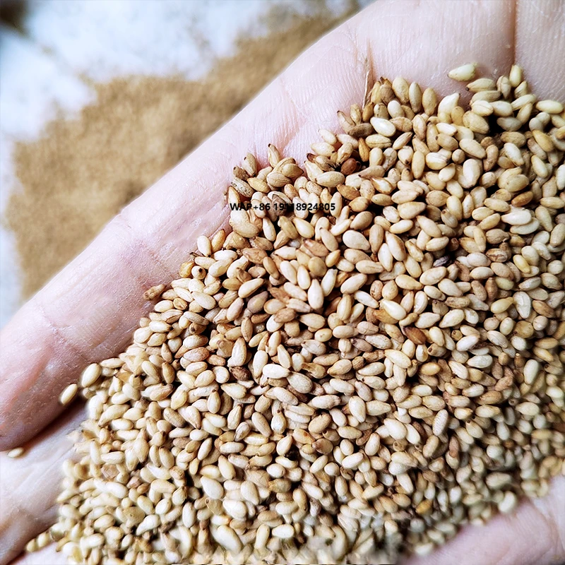 Fully Automatic Electromagnetic Nut Roasting Machine for Sesame Seeds