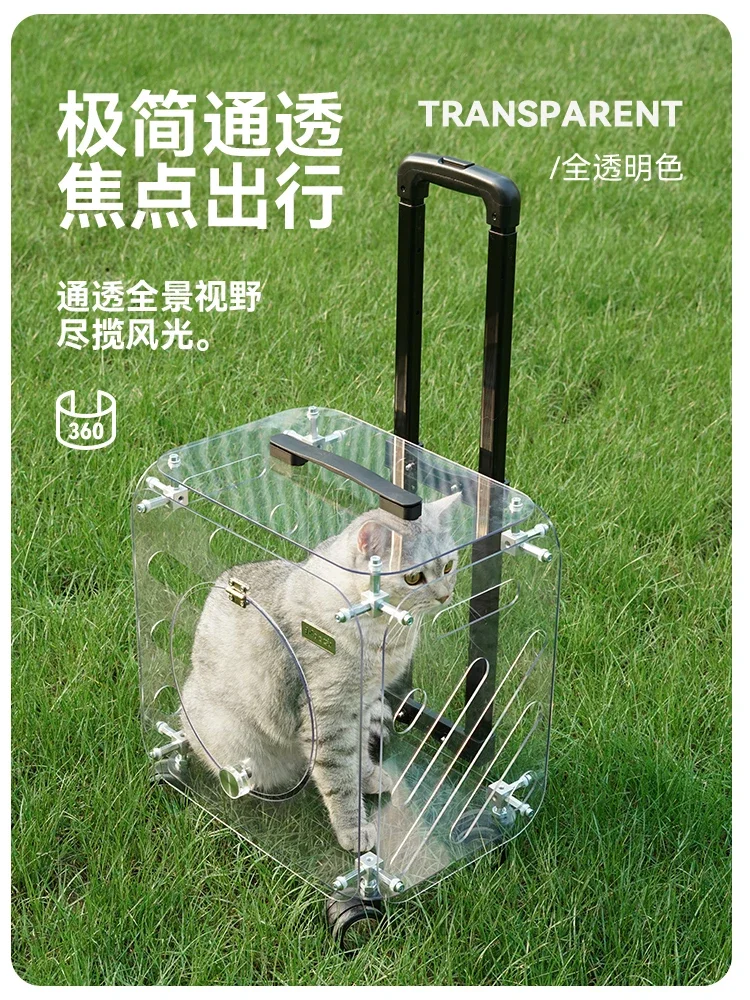 Cat bag out portable cat bag pet fully transparent trolley case car riding artifact dog large-capacity suitcase