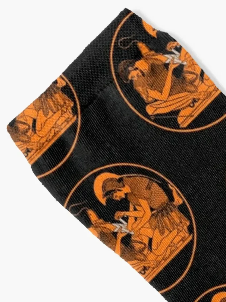 Achilles and Patroclus kylix Socks cute custom Running Men's Socks Women's