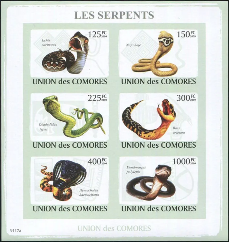 Comoros, 2009, Snakes, Toothless, Real Original Post Stamps, MNH
