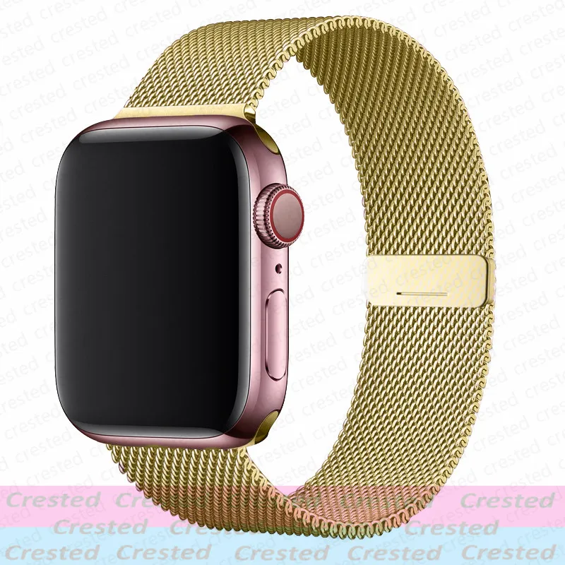 Magnetische Armbänder für Apple Watch 44mm 40mm 45mm 46mm 49mm 42mm 41mm Armband iWatch Series 12 10 9 8 7 6 5 SE Ultra 4/3 – Detail 3