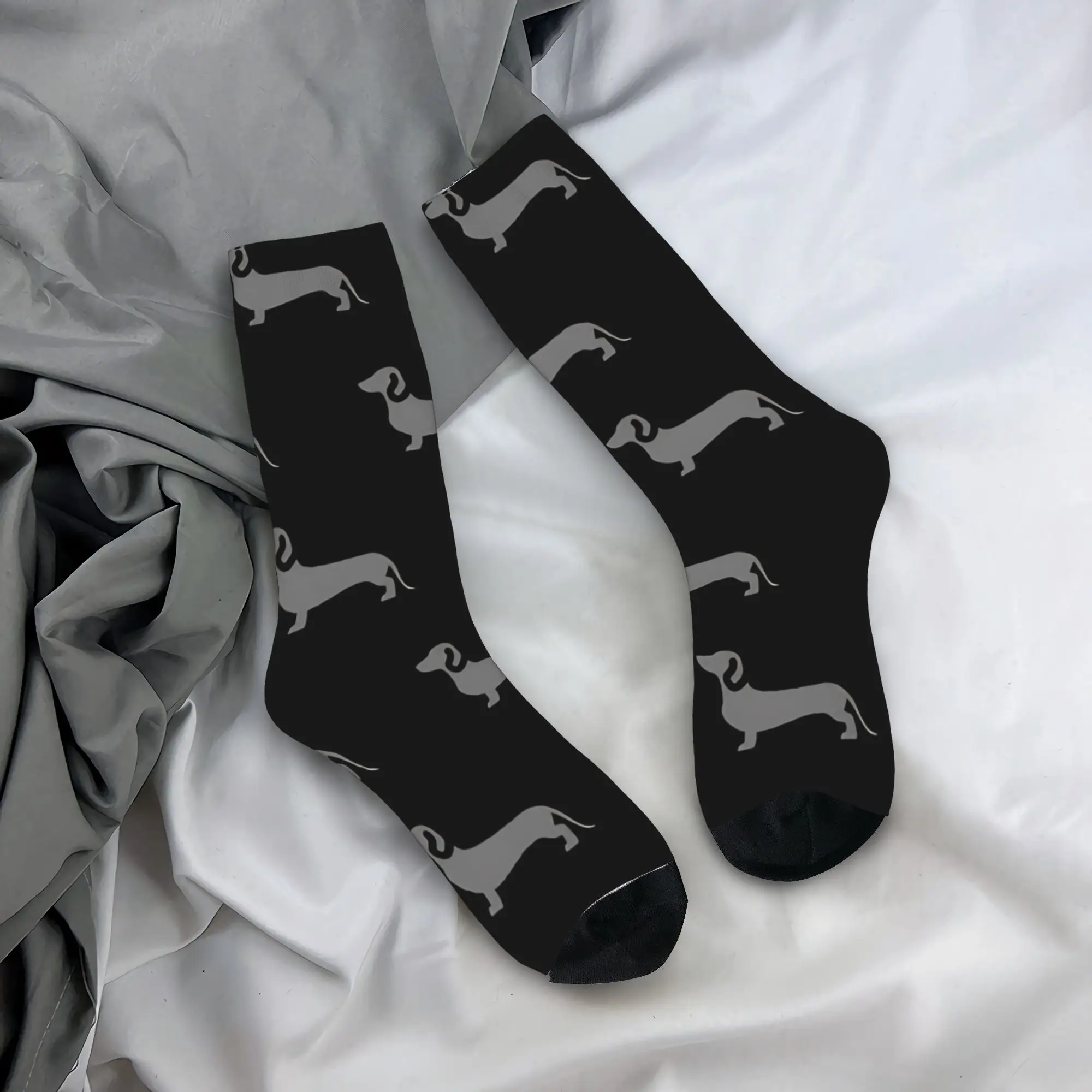 

Носки с рисунком таксы, графические ретро-носки, весенние антибактериальные носки, мужские дышащие носки для скейтбординга