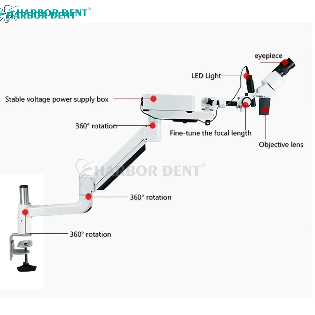 مشبك مجهر مجهر ثنائي العين محمول على الطاولة مجهر قناة الجذر Dentsitry معدات مختبر التخصيص