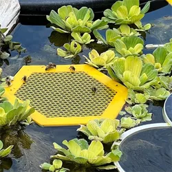 Floating Bee Island-Bee Waterer Hexagonal Bee Insect Drinking Tray Acrylic Beekeeping Setups Luring insects Waterer Catcher Cups